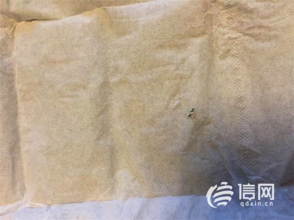 于女士在奶粉中發現的綠色異物