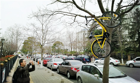 共享单车是一面照妖镜 在青岛也不例外