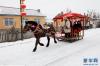 在吉林省舒兰市上营镇马鞍岭村二合屯，游客乘坐马拉雪橇（1月23日摄）。 新华社记者 孙玮彤 摄