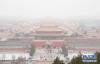  2月12日，北京降雪，大批游人来到故宫游览赏雪。 新华社记者才扬摄