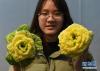 　2月13日，南京农业大学园艺学院的学生创业团队成员展示“黄玫瑰白菜”。　新华社记者孙参摄