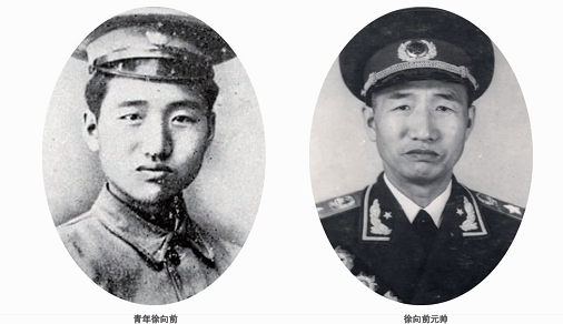 徐向前考黄埔军校前是小学老师他还当过孙中山的卫兵