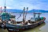 山东青岛王哥庄，渔民出海开捕，螃蟹肥美满载而归。图片来源：视觉中国