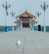 青島，棧橋風景區。圖片來源：視覺中國
