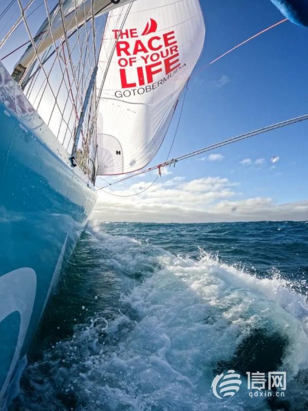乘風競速 “青島號”在克利伯環球帆船賽再拔頭籌