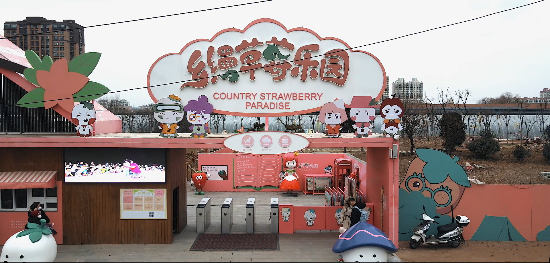 春节游玩好去处 城阳夏庄乡缦草莓乐园等你打卡