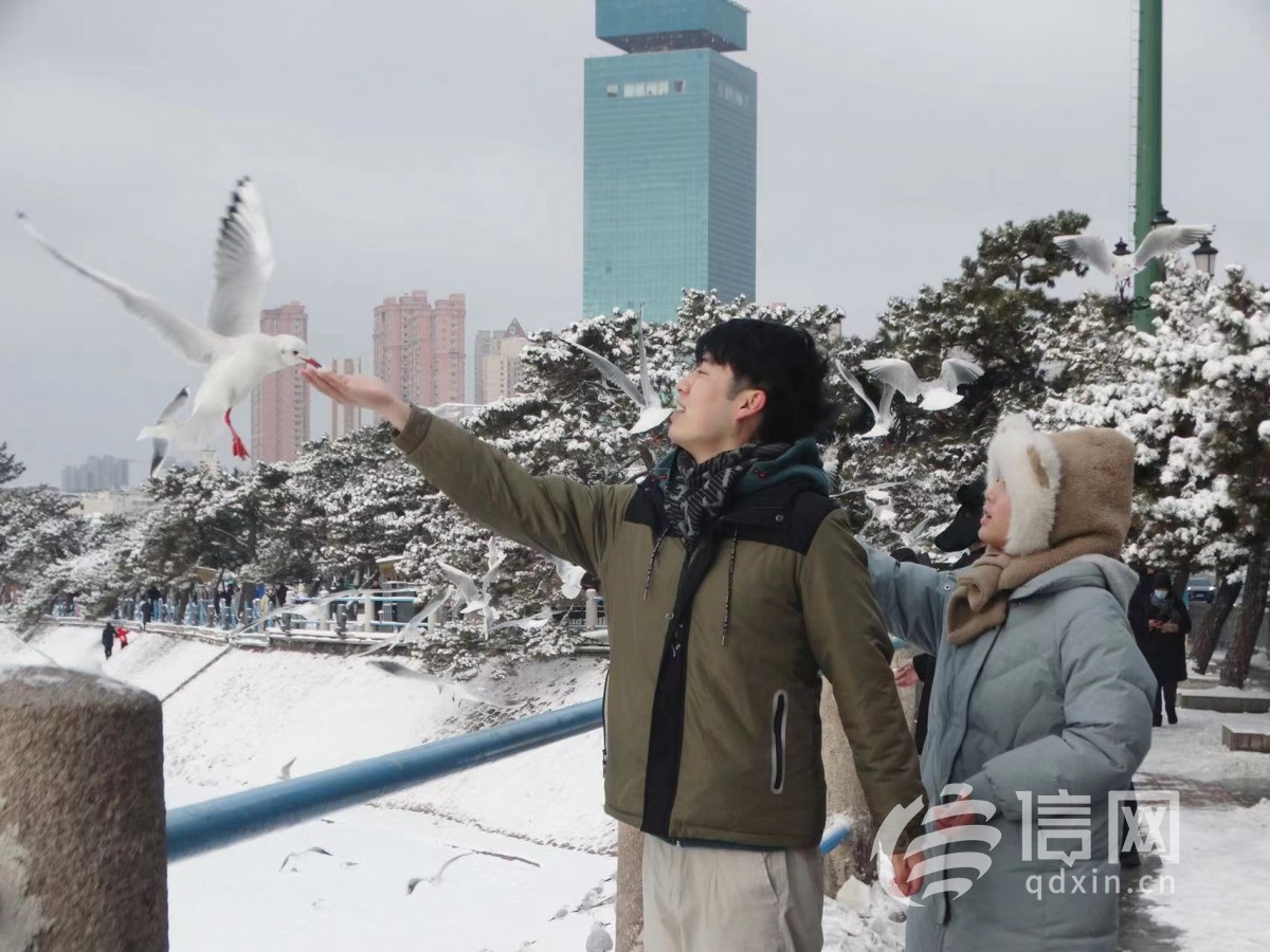 随手拍都是能是大片 市民游客打卡雪后青岛玩到嗨