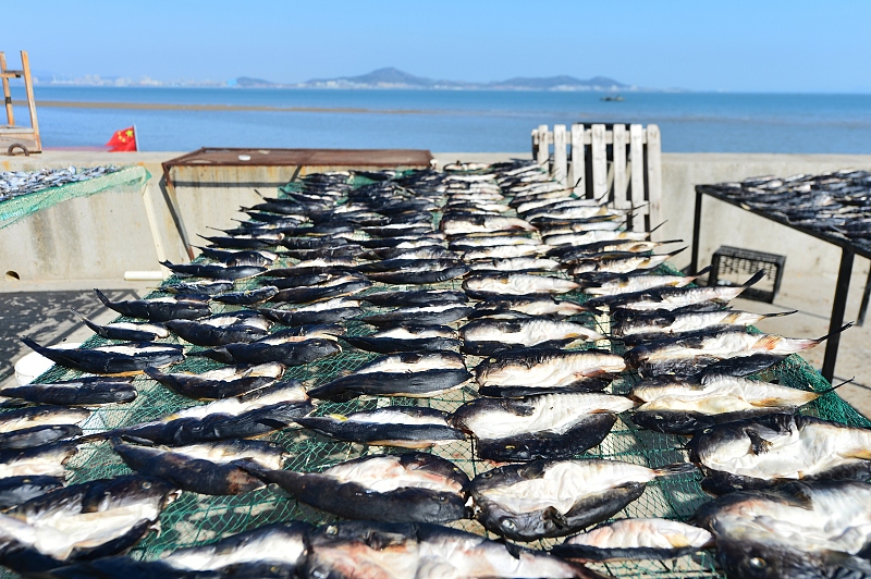 鲅鱼八带等海味走上青岛餐桌 吃的是海鲜和城市文化