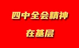 四中全会精神在基层-信网专题