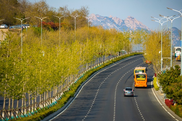 三部门明确：这些液态食品可道路散装运输