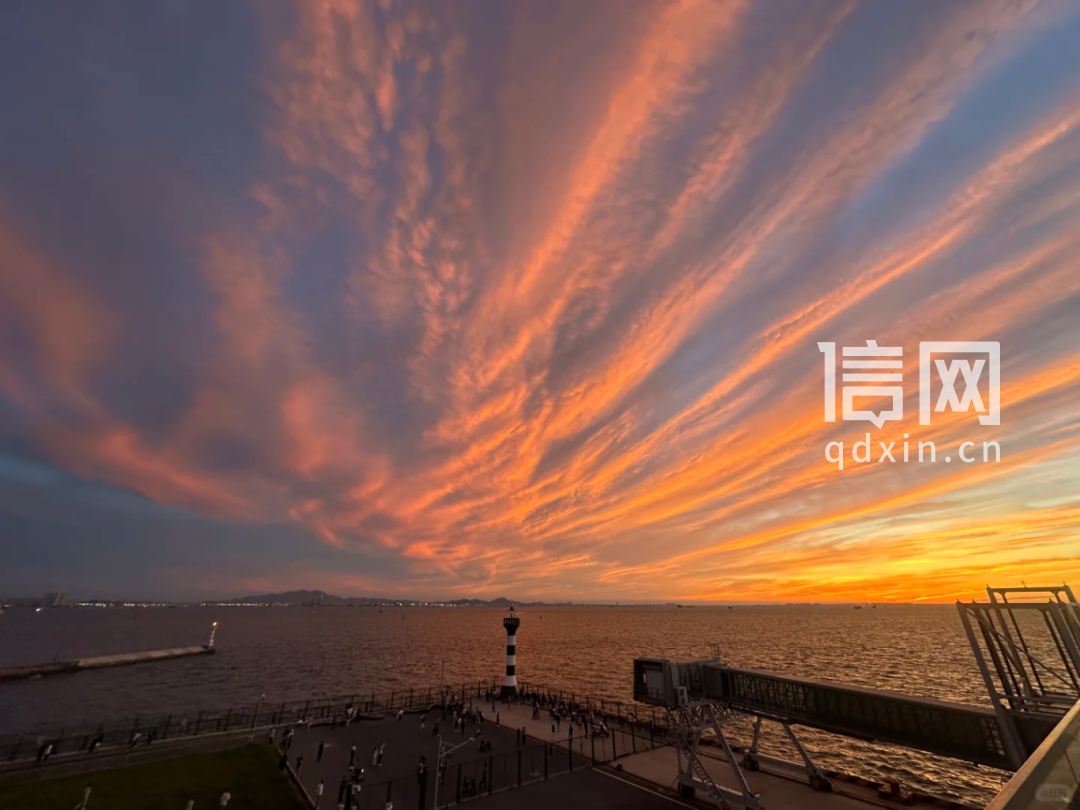“世纪晚霞”带青岛出圈刷屏 市北文旅推出精品线路