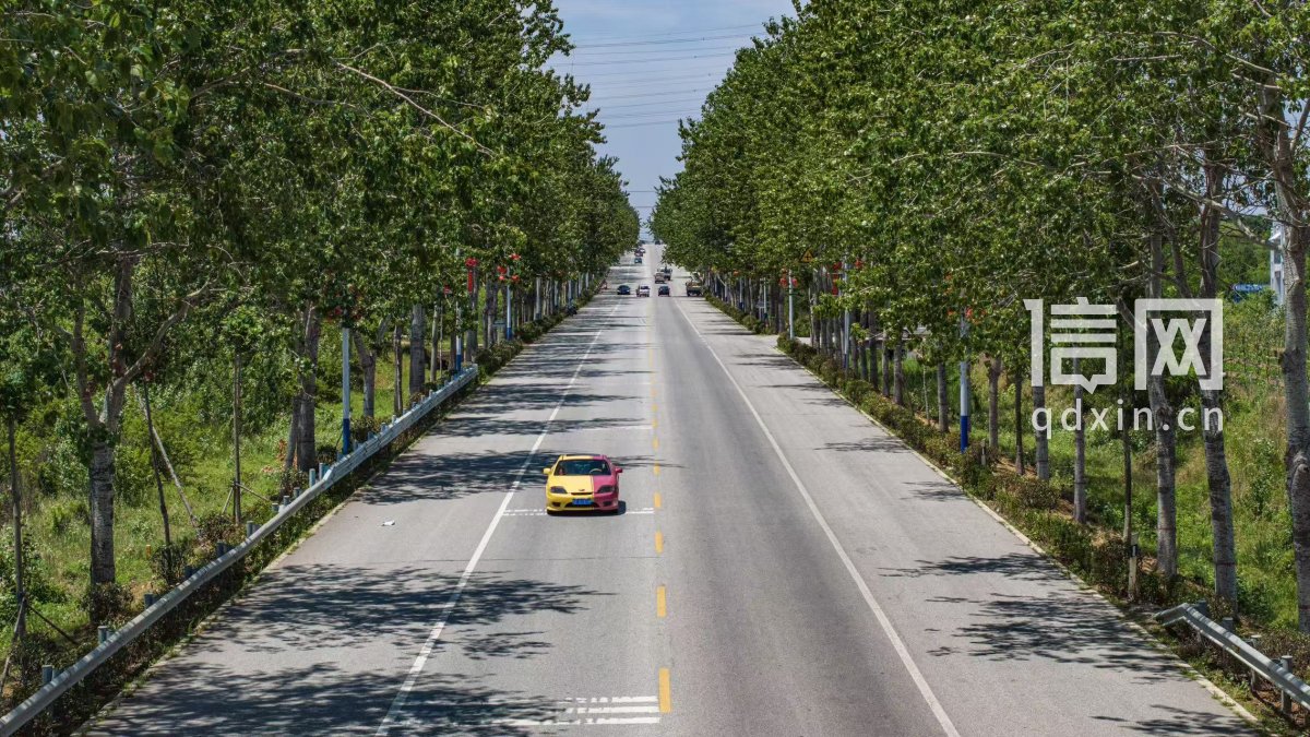 即墨乡村公路。（来源：信网）