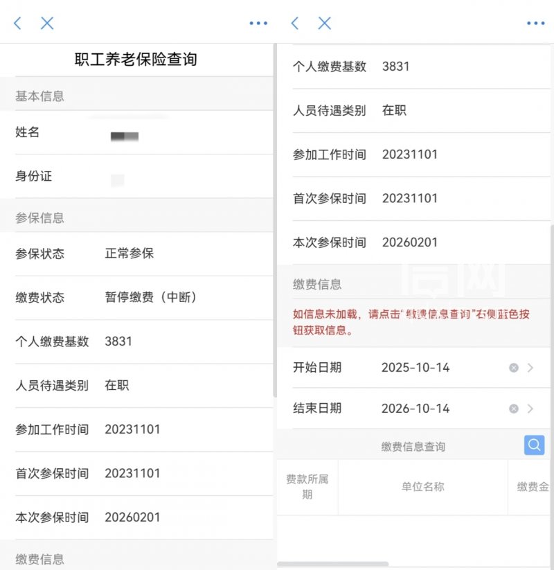 刘女士职工养老保险查询页面。（来源：受访者）
