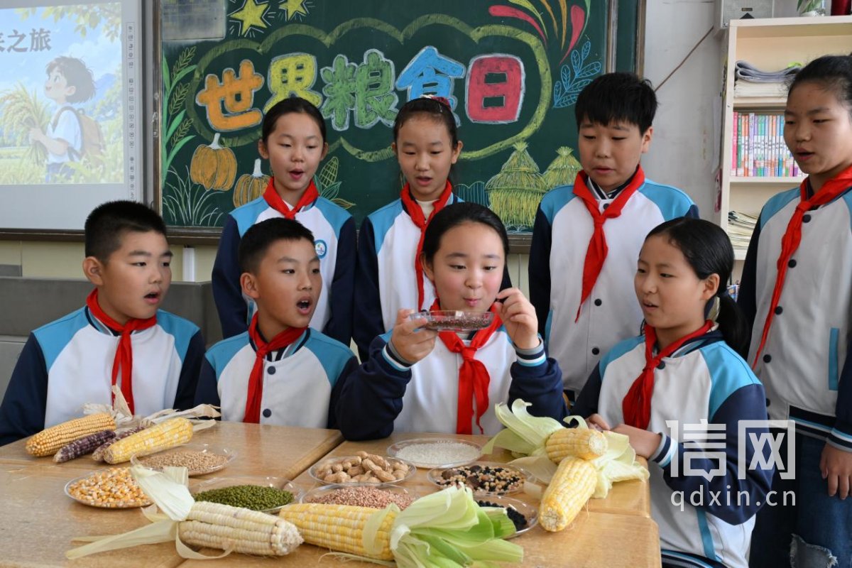 同学们在认识五谷杂粮（来源：即墨区委宣传部）