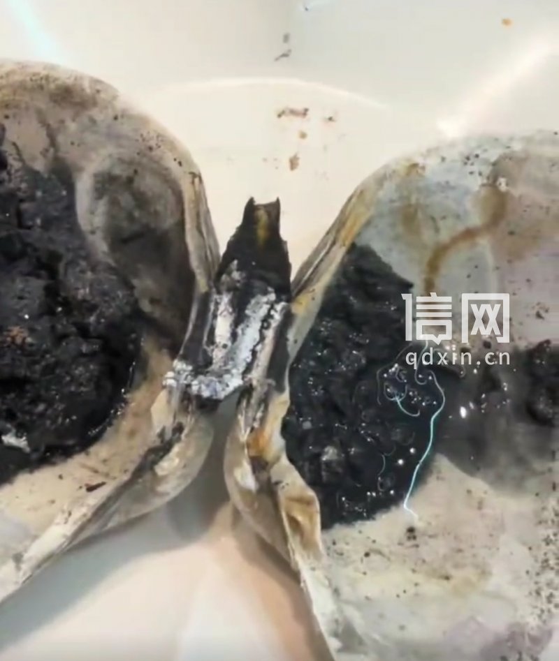 相关视频截图。（来源：社交平台）
