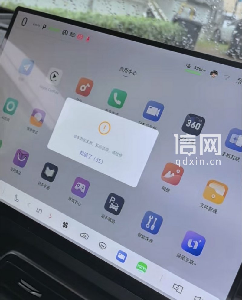 泊车激活失败。（来源：受访者）