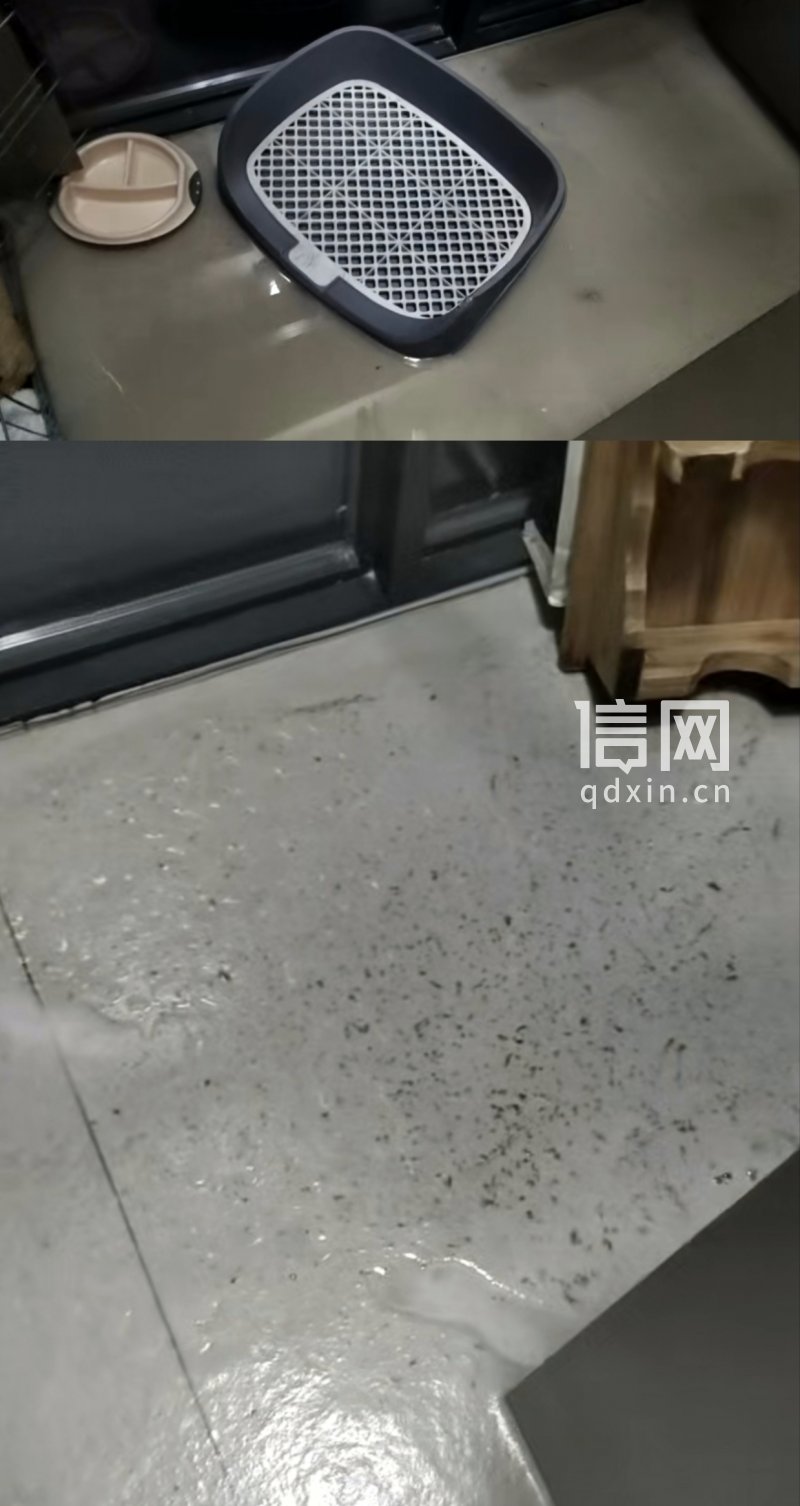 刘女士家中此前返水相关照片。(来源:受访者)