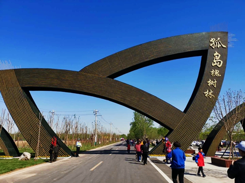 一年一度槐花香第八届黄河三角洲湿地槐花节飘香孤岛镇