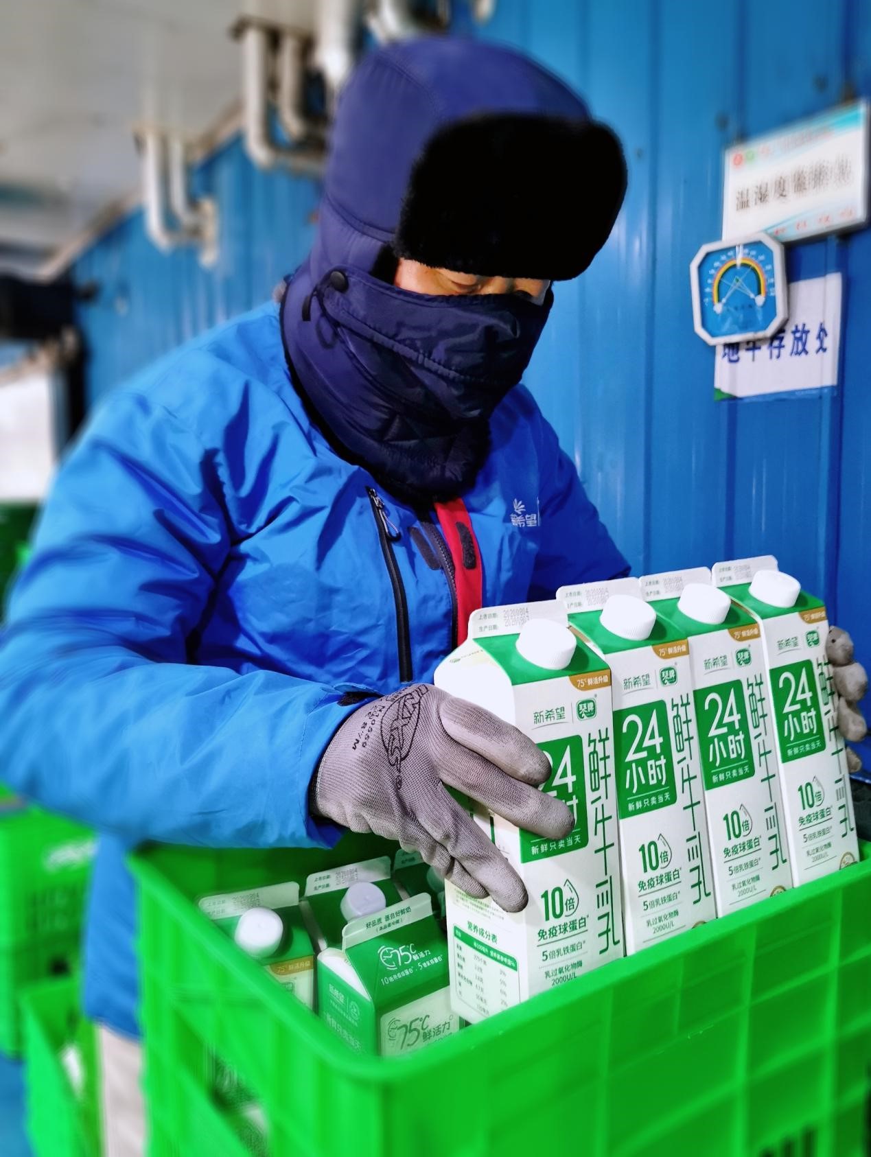 新希望琴牌包装工人正将24小时鲜牛奶装箱(来源:新希望琴牌)在终端