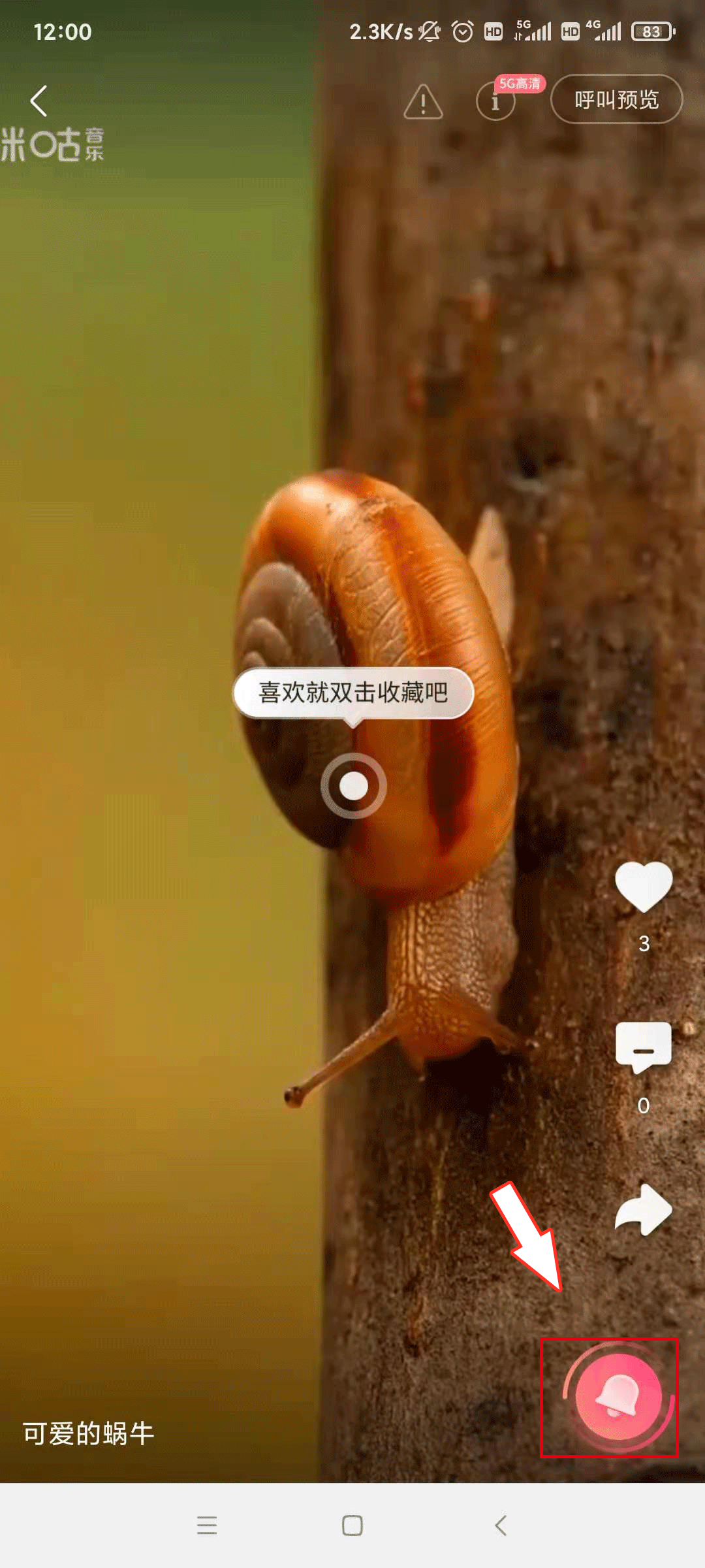 蜗牛动态图片真实图片