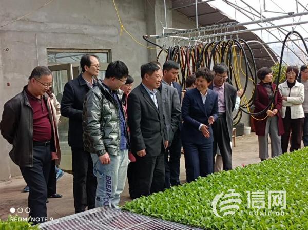 (来源:妇联)去年以来,青岛市即墨区农业农村局又把"青岛地平线蔬菜