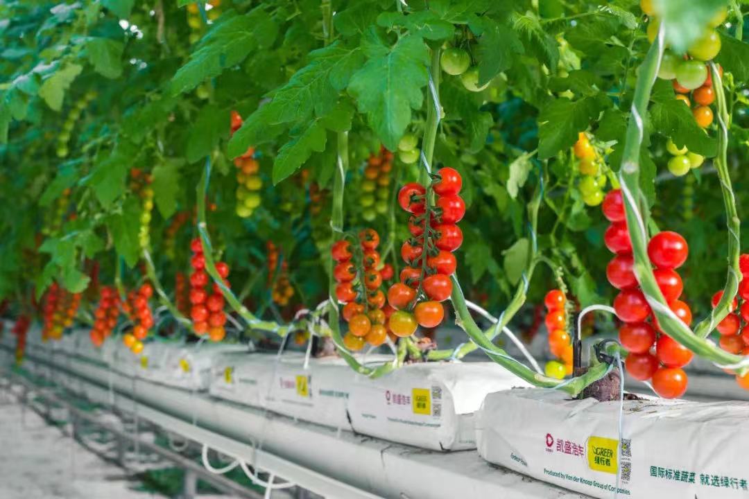 兴业银行长沙分行：新增两笔绿色贷款 支持湖南绿色农业转型升级