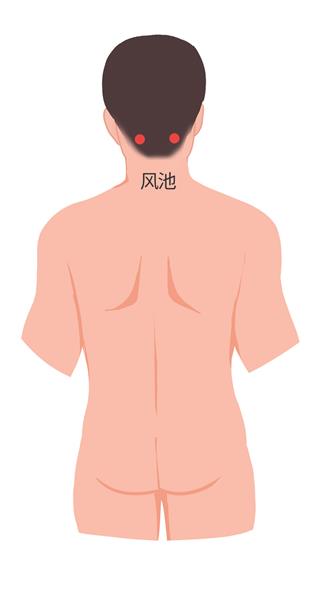 3. 风池：胸锁乳突肌与斜方肌上端之间的凹陷中，平风府穴。