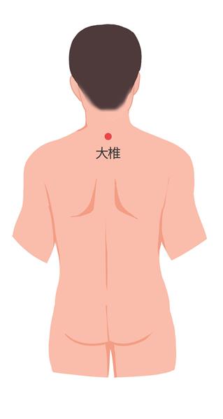 4. 大椎：在背部，当后正中线上，第7颈椎棘突下凹陷中。