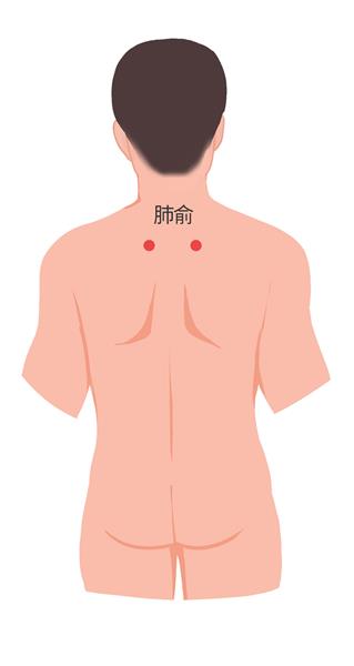 6. 肺俞：位于背部，当第三胸椎棘突下，旁开1.5寸处。