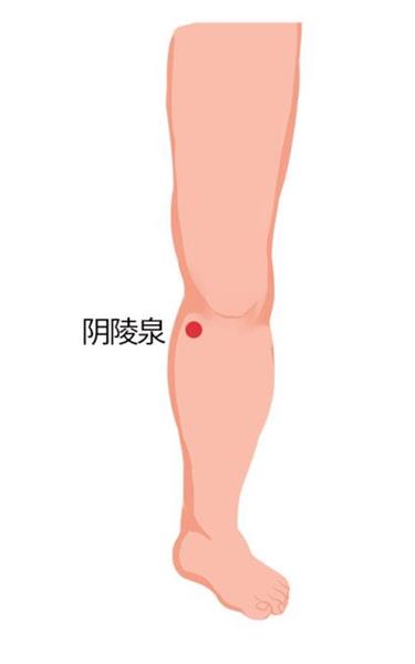 9. 阴陵泉：位于胫骨内侧髁下方凹陷处。取穴时采取屈膝或仰卧位，用拇指沿胫骨内侧由下往上推，至拇指抵膝关节下方在胫骨向内上弯曲处可触及一凹陷处即是。