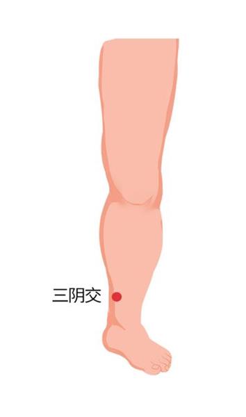 10. 三阴交：位于胫骨内侧面后缘，内踝尖上3寸。