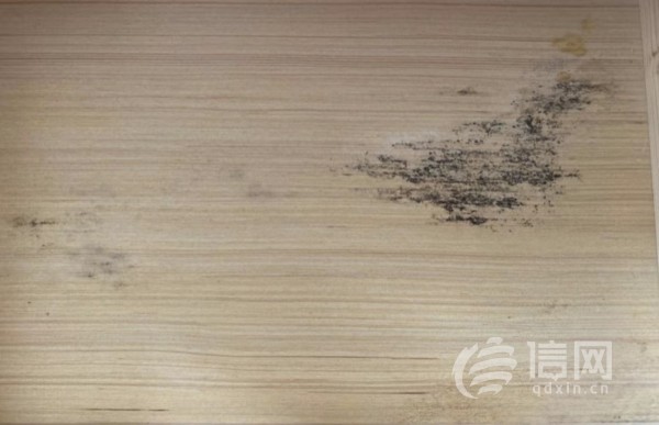 电视柜和沙发下面的木板上存在大块发霉痕迹。(来源：受访者)