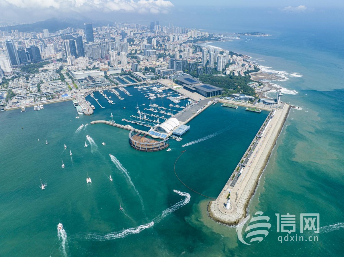 8月11日至20日，2023第十五届青岛国际帆船周·青岛国际海洋节扬帆起航。(来源：信网)