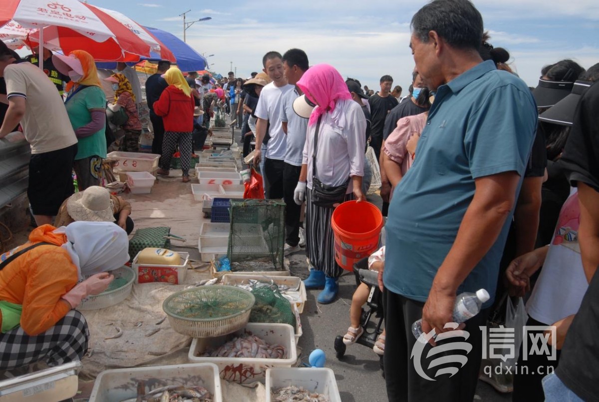 市民在即墨区山东头渔港码头选购新鲜海货。 (来源：即墨区委宣传部)