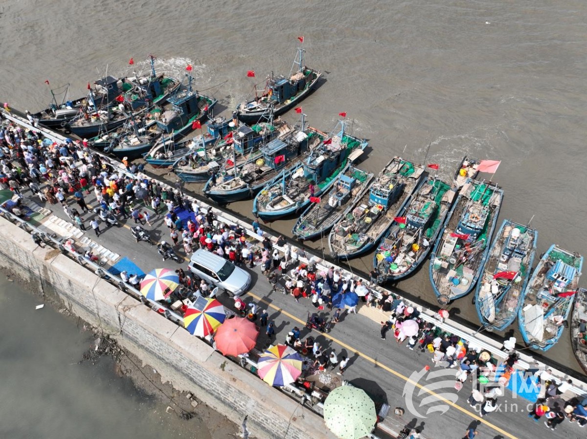 即墨区山东头渔港码头，一条条渔船出海满载而归。 (来源：即墨区委宣传部)