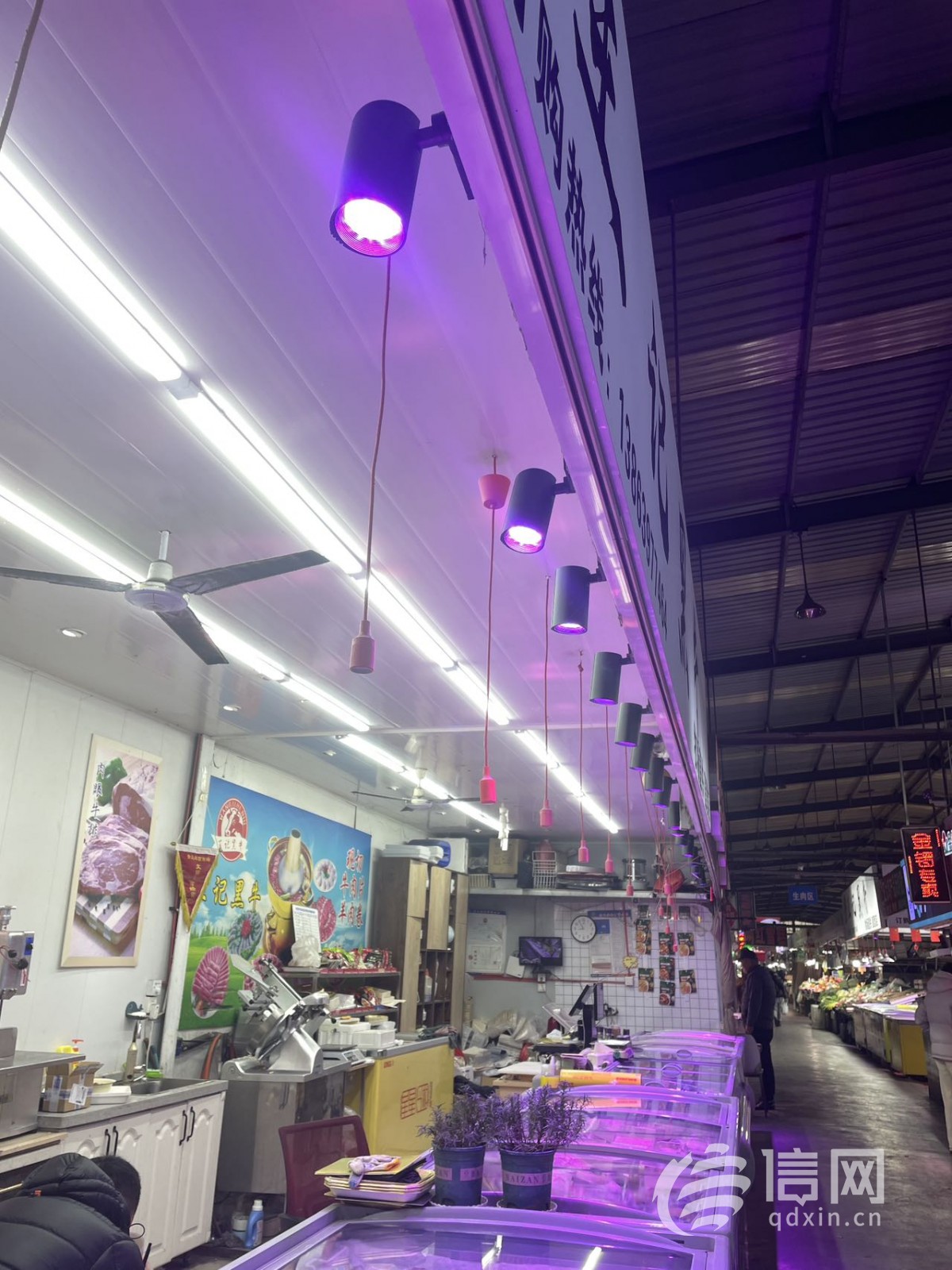 鲜牛肉的摊位门头上挂的筒灯发出明显的紫色光。(来源：信网 记者 赵彦阅 摄)
