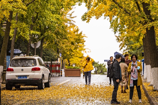 轮状病毒、诺如病毒等感染进入高发期 该如何防范？