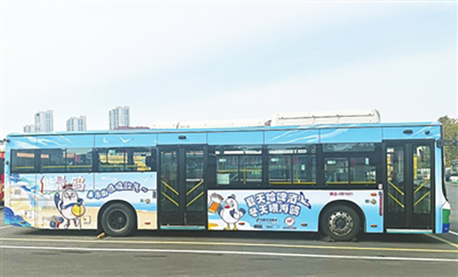 青岛公交开启海岸线暖心之旅 两条特色观鸥线路启程
