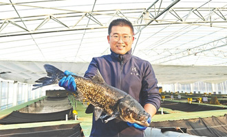 即墨淡水鱼“游”上广州餐桌 全年销量40万斤