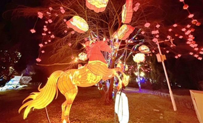 青岛第二届太平山山会启幕 新春灯会持续至正月十五