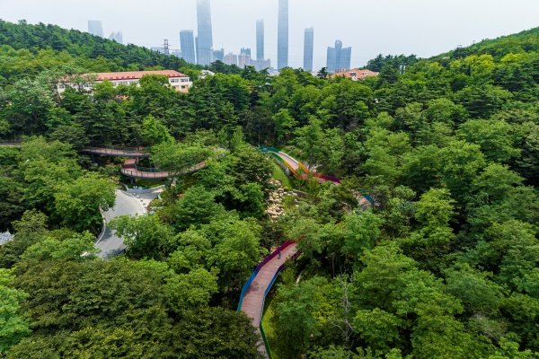 全国已设置525个“公园式”婚姻登记点