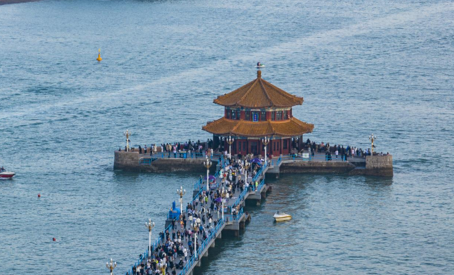 青岛文明观鸥联盟成立 传递护鸥新风尚