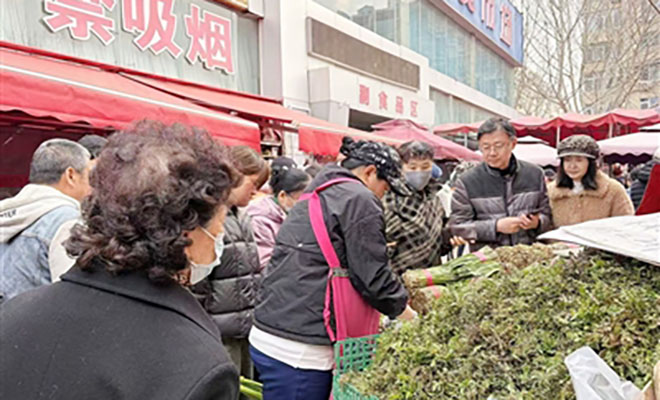 多样春菜占据青岛菜摊C位 荠菜、茵陈、蒲公英等上市