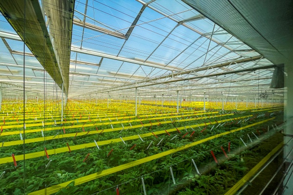 山东农业科技进步贡献率已达68.5%