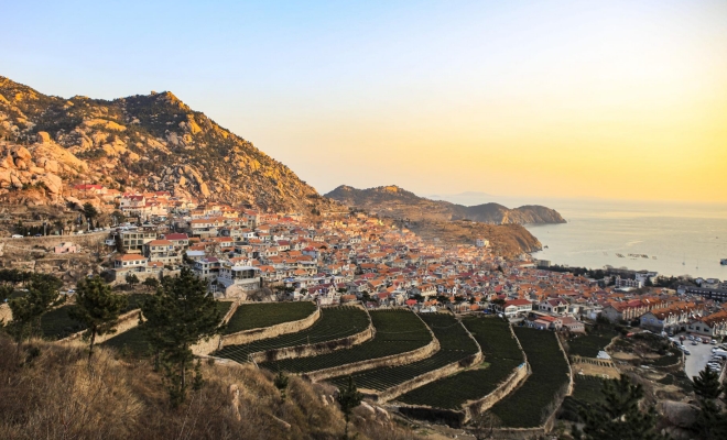 青岛乡村振兴片区清明假期乡村游热闹红火 接待游客57.4万人次