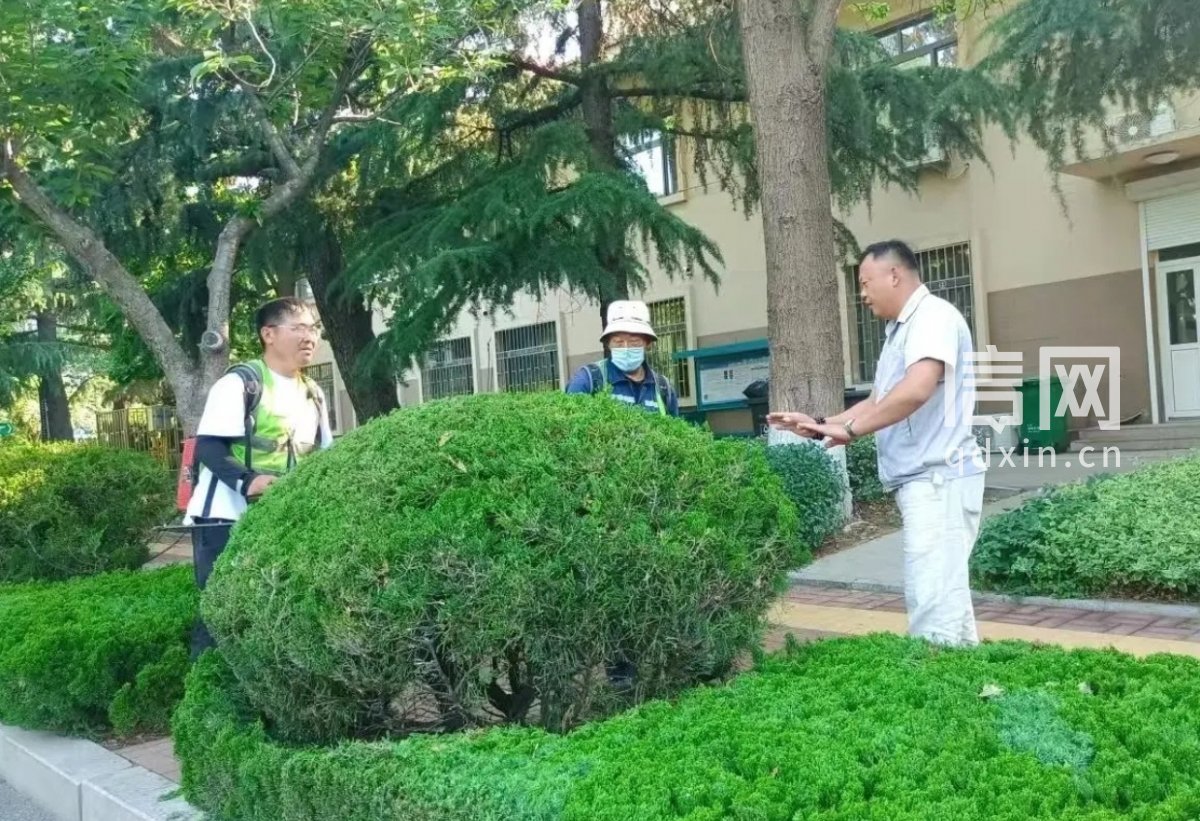 培训交流现场相关照片。（来源：青岛市城阳区住建局）