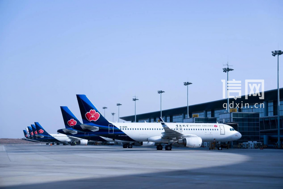 青岛航空客机。（来源：青岛航空）