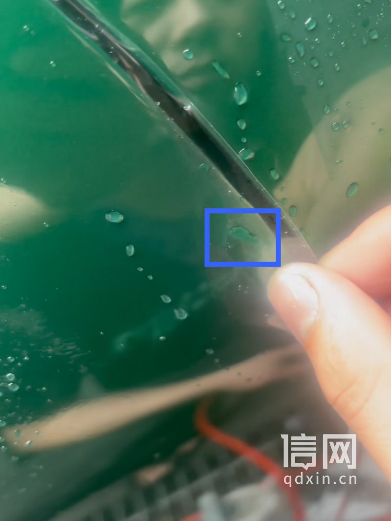 掉漆的位置。（来源：受访者）