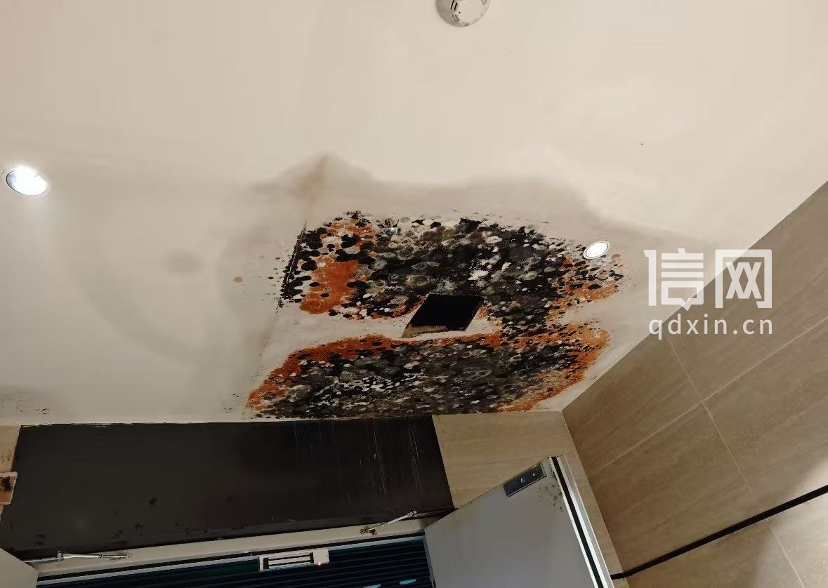 通道顶部出现霉斑。（来源：受访者）