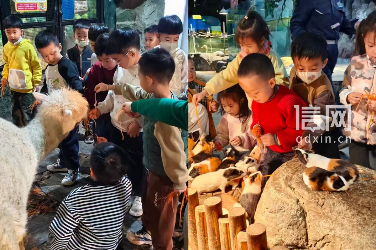 往届啤酒节现场图（来源：崂山区委宣传部）